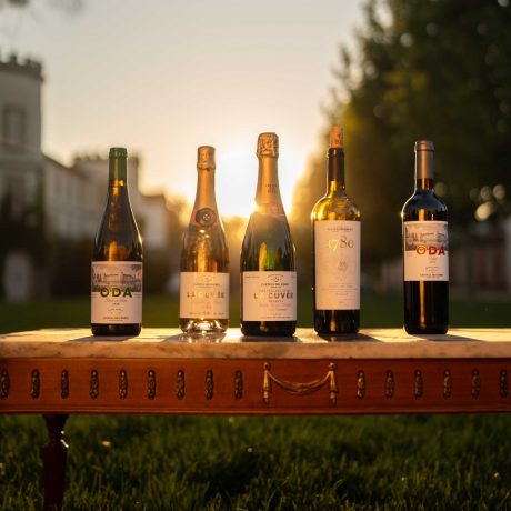 Costers-CastelldelRemei-drinkinmoderation_119