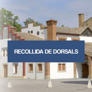 baner CASTELL REMEI - RECOLLIDA DE DORSALS-1